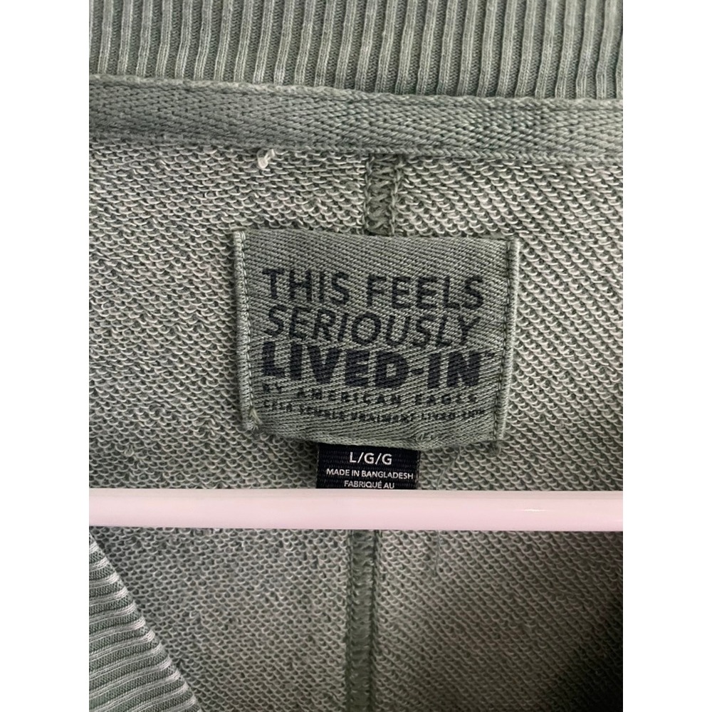 American Eagle Seriously Lived-In Oversized Sweatshirt Sage Green Large - Picture 5 of 9